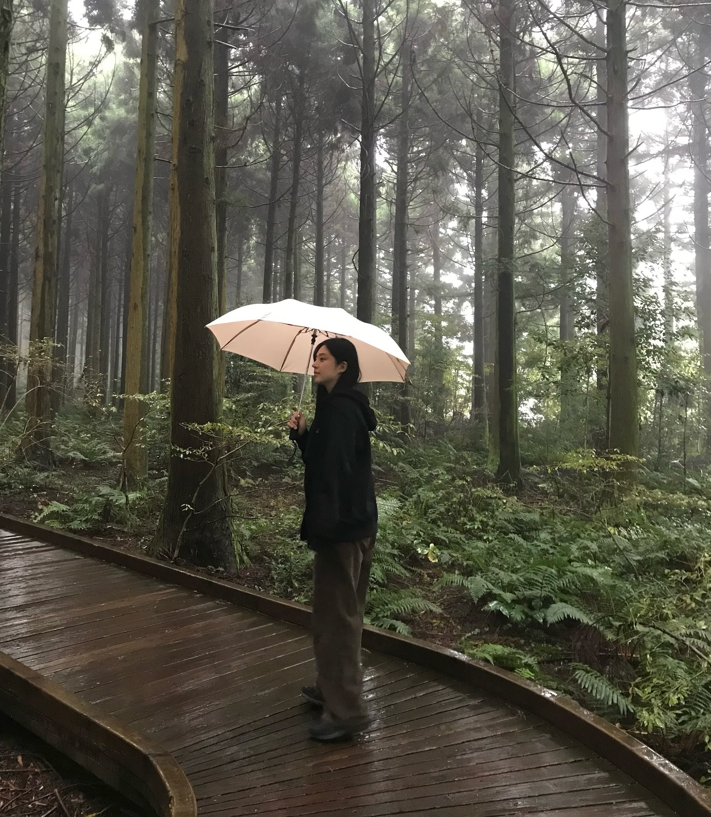 初晨素材库 - 生活照与朋友圈素材商城